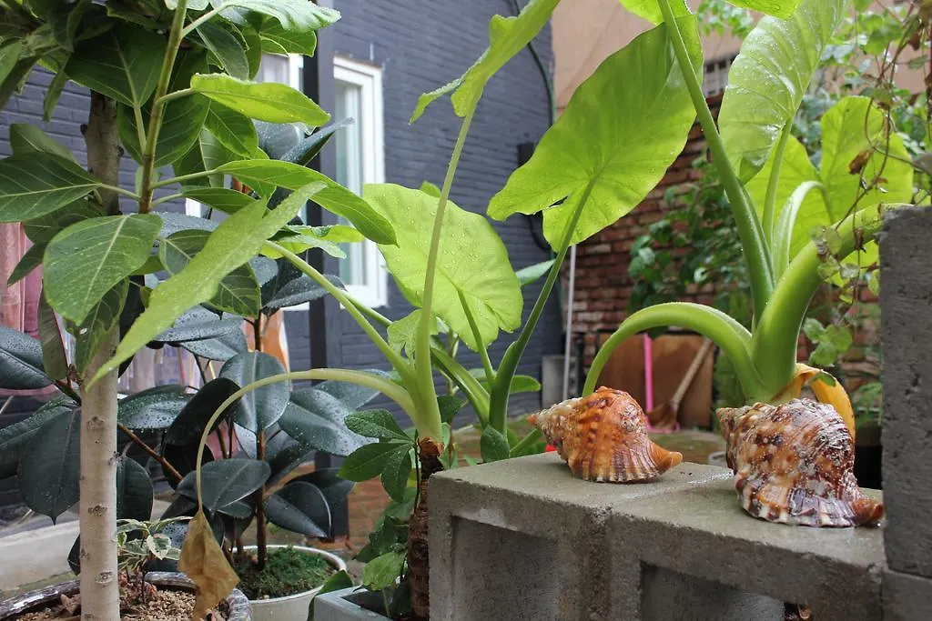 旅馆 釜山 Good Day Mate旅舍 韩国