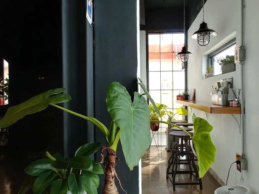 旅馆 釜山 Good Day Mate旅舍